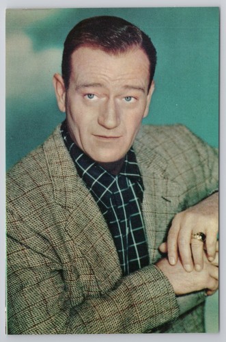 Ritratto john wayne - ritratto,